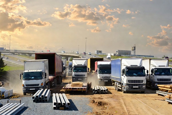 The Role of Transportation Costs and Logistics